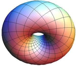 torus